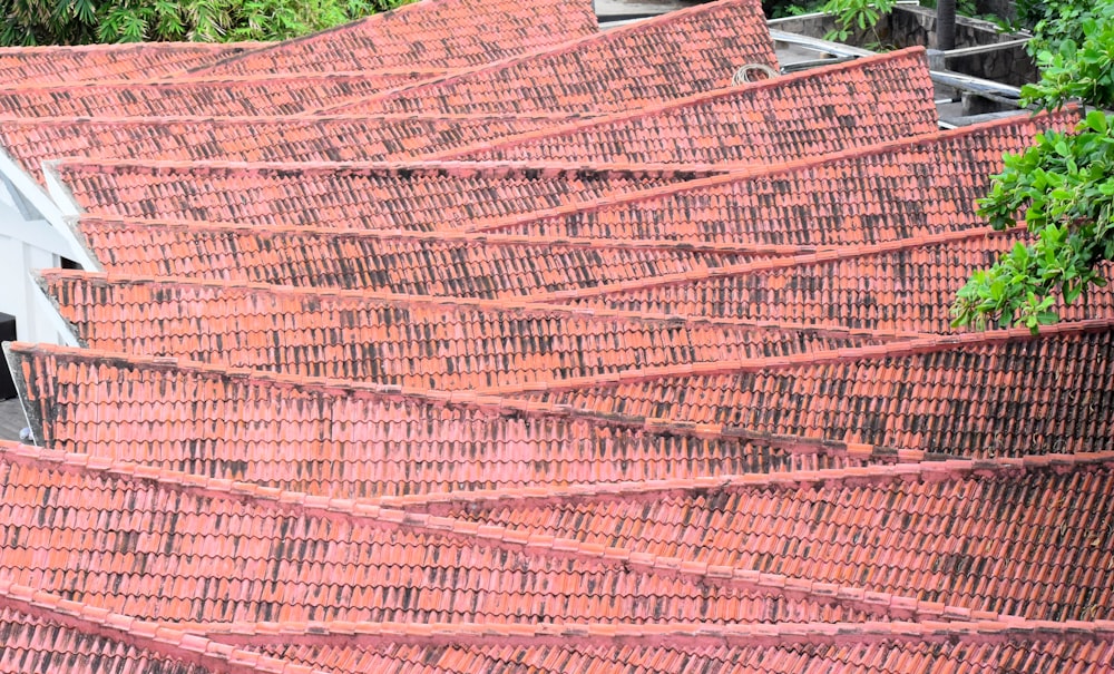 a bird is perched on the roof of a building