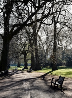 A serene city park bathed in soft morning light with gentle shadows and a few students sitting quietly on benches.