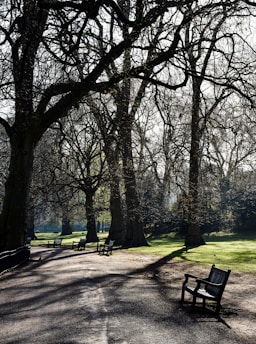 A serene city park bathed in soft morning light with gentle shadows and a few students sitting quietly on benches.