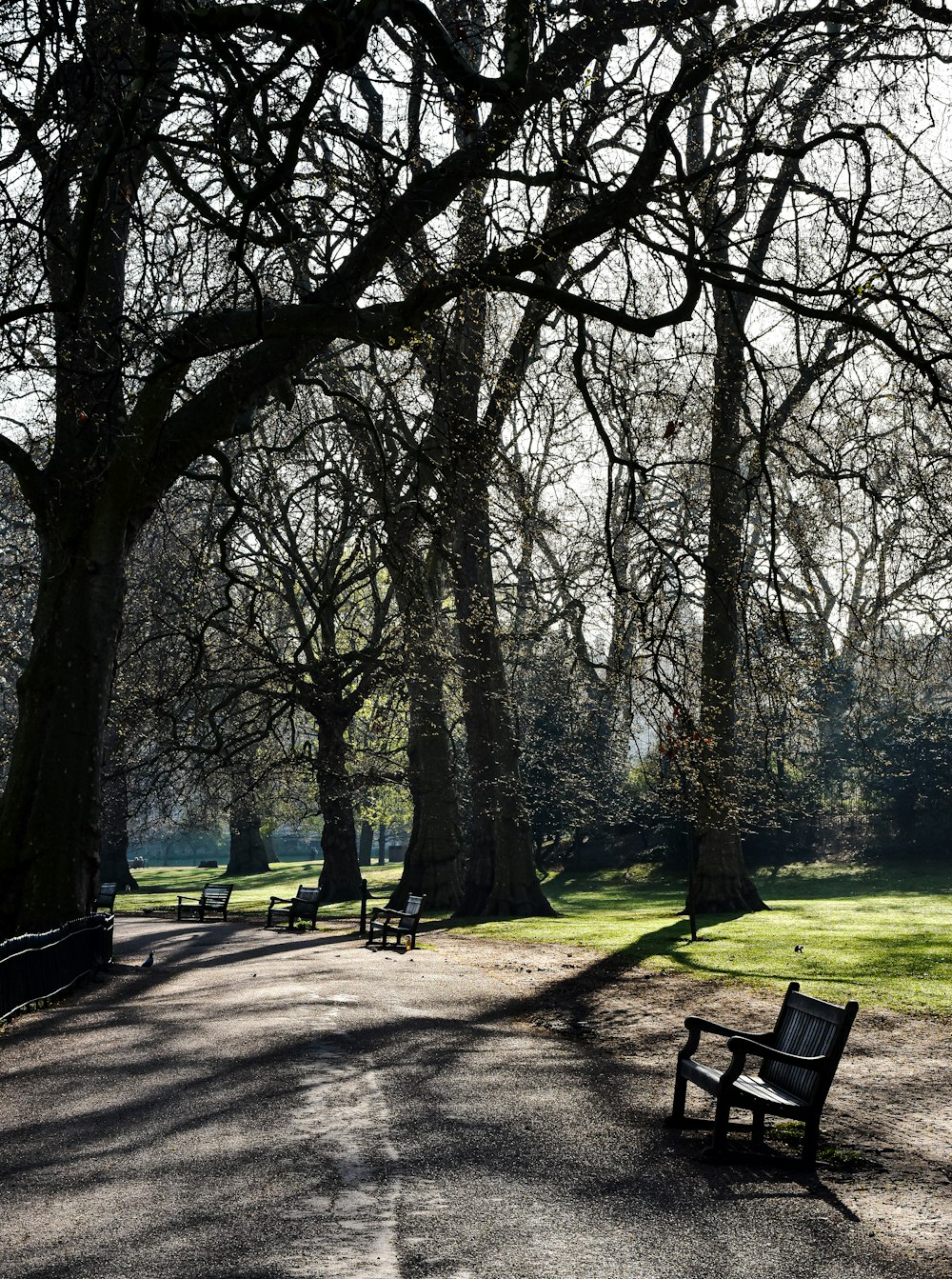 a park bench sitting in the middle of a park