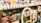 A shelf filled with a variety of plush toys in different colors and designs. The toys are arranged neatly with a decorative white picket fence on top of the shelf. Among the toys are animals with big eyes, including different creatures such as cats and rabbits.
