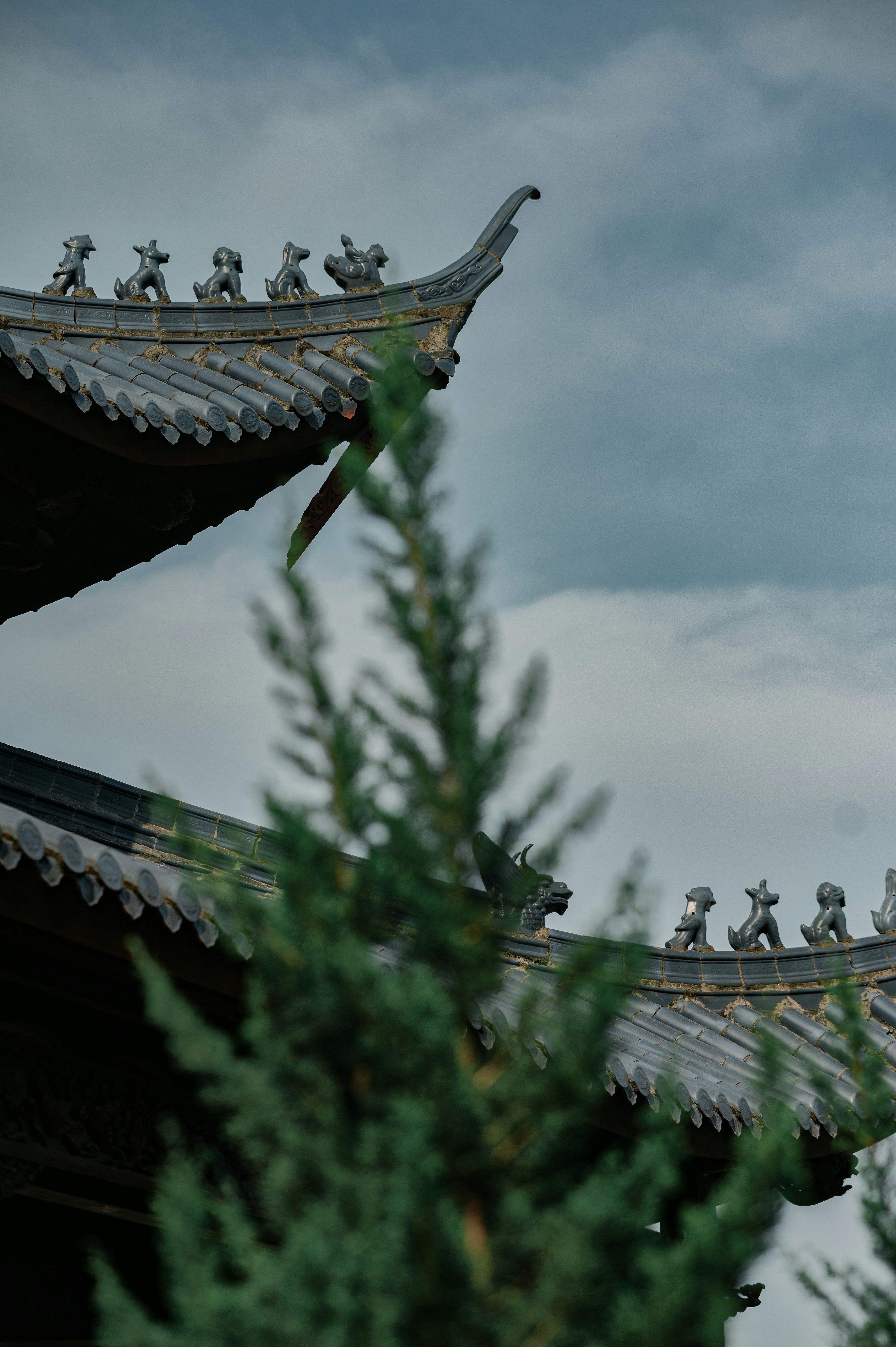 Photo by chunbaihaitang