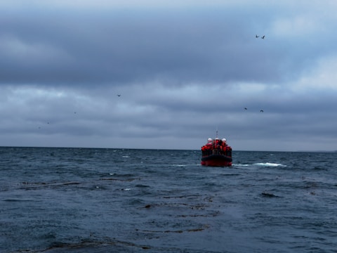 A boat filled with people wearing red life jackets is navigating through a large, grayish sea. The sky above is overcast with dark clouds, suggesting inclement weather. A few birds are flying in the sky.