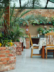 A welcoming restaurant interior with natural light and green plants.