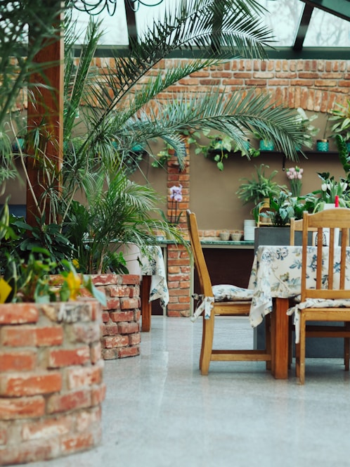 A warm rustic event space filled with diverse green plants and soft natural light.