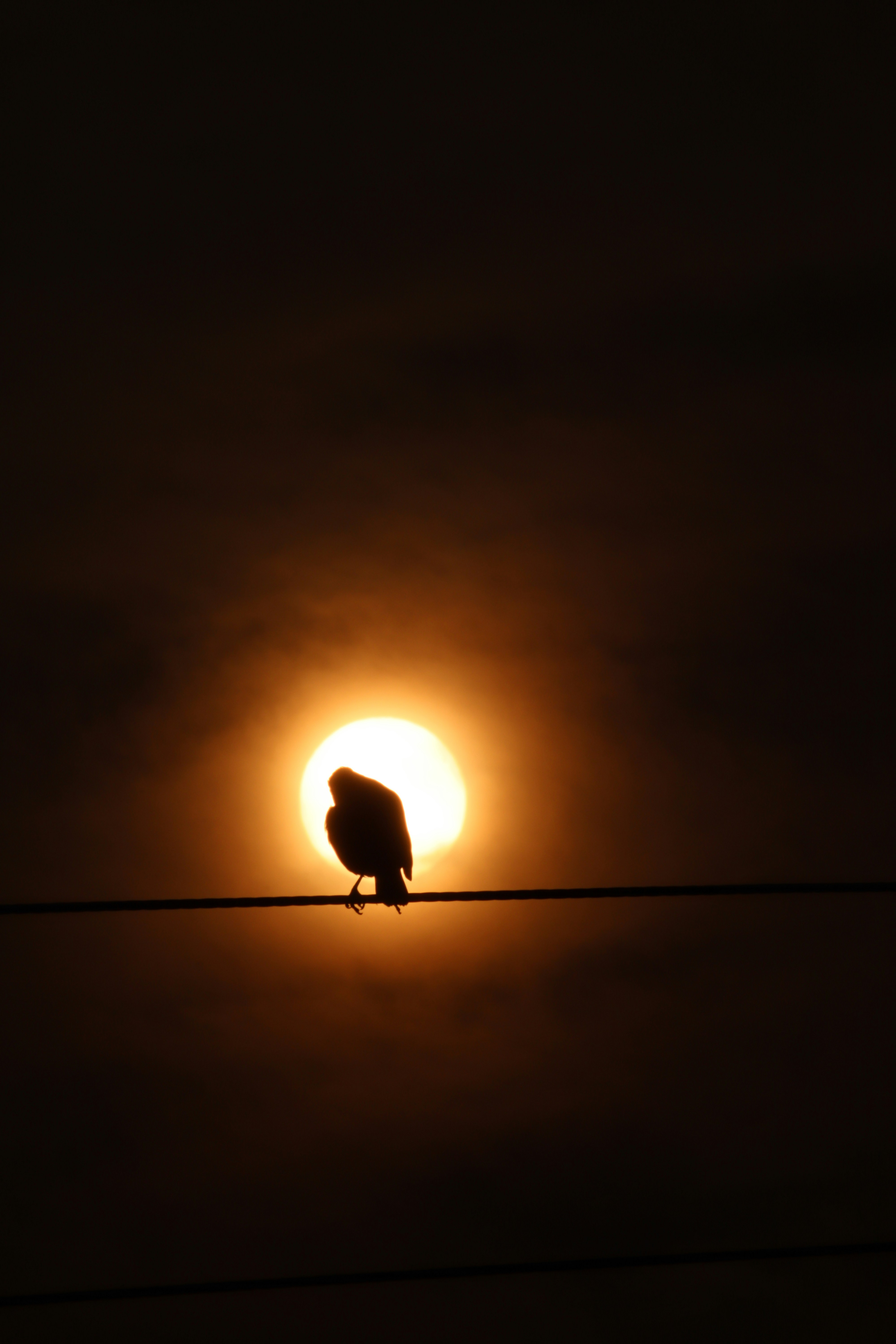 Photo by drphotographer152