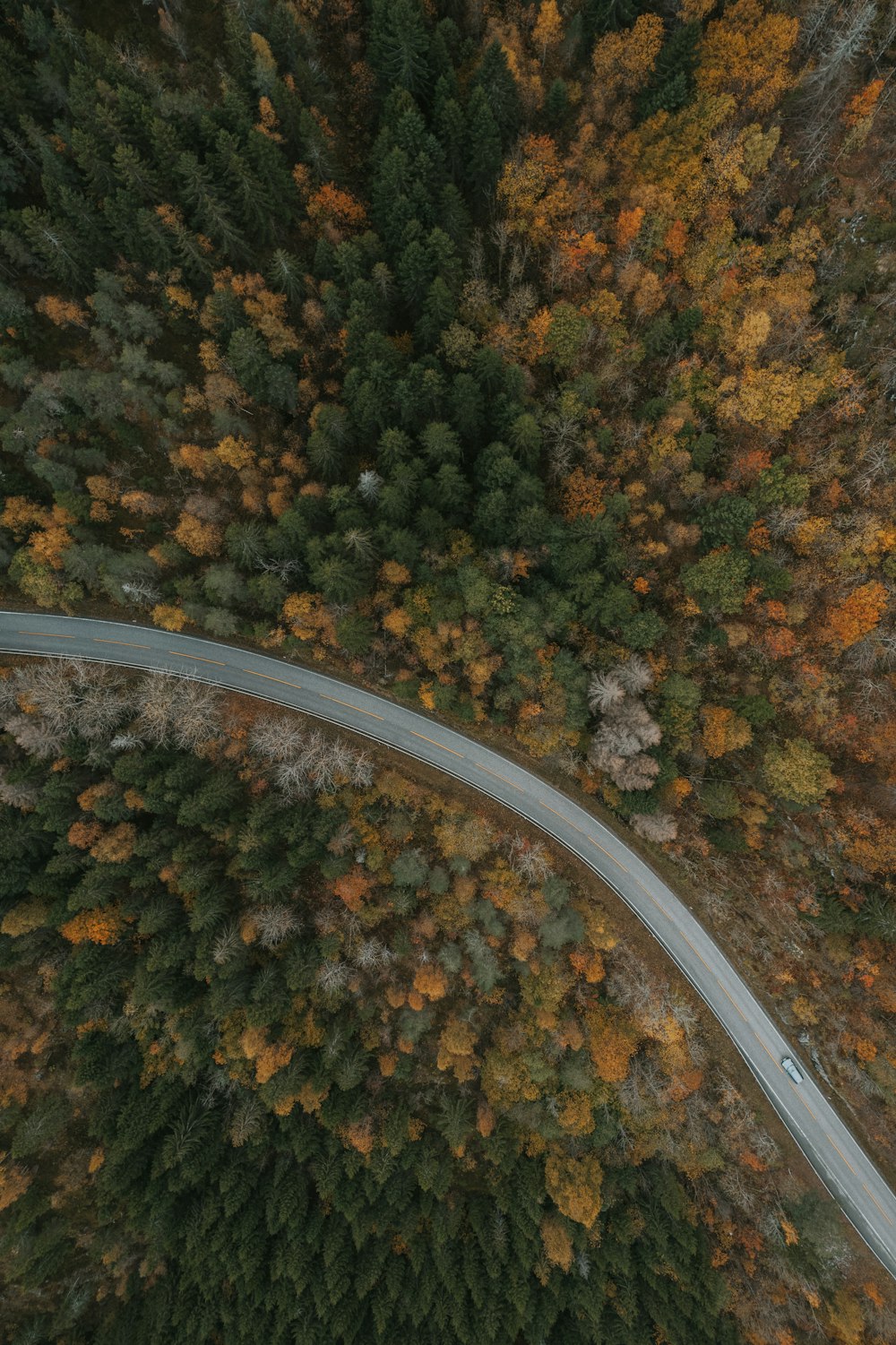 an aerial view of a road in the middle of a forest