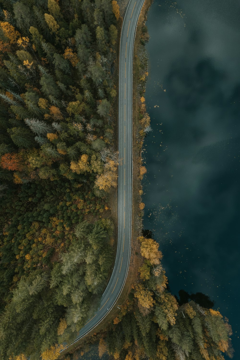 an aerial view of a road in the middle of a forest