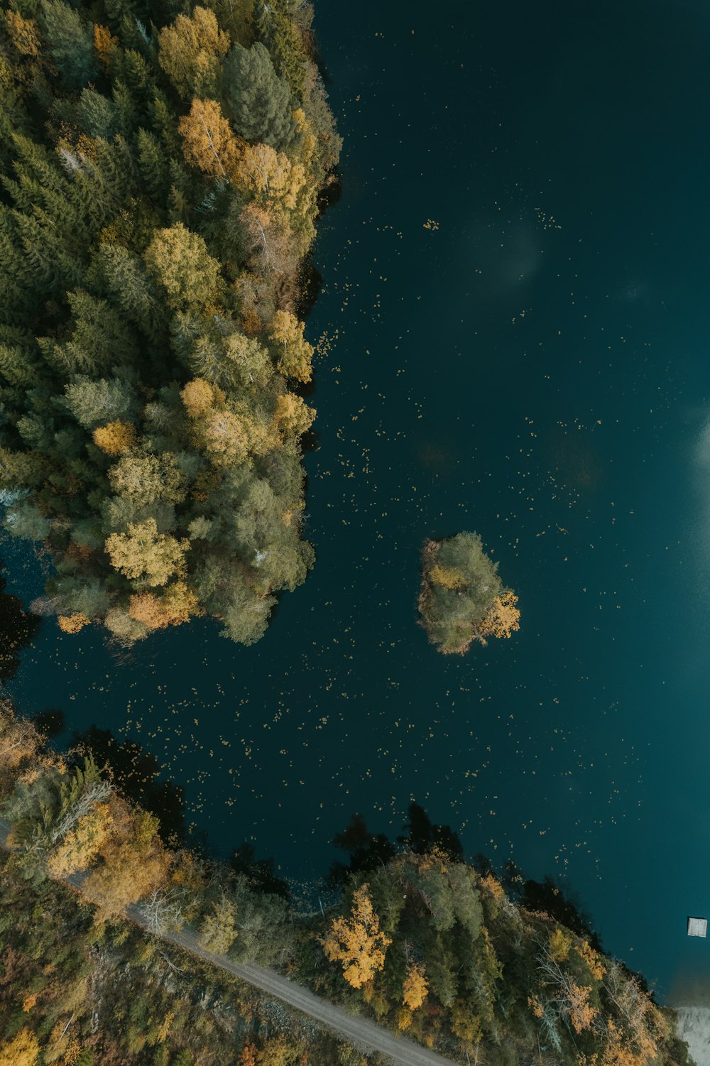 an aerial view of a body of water surrounded by trees