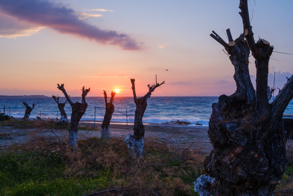 the sun is setting over the ocean with a beach in the background