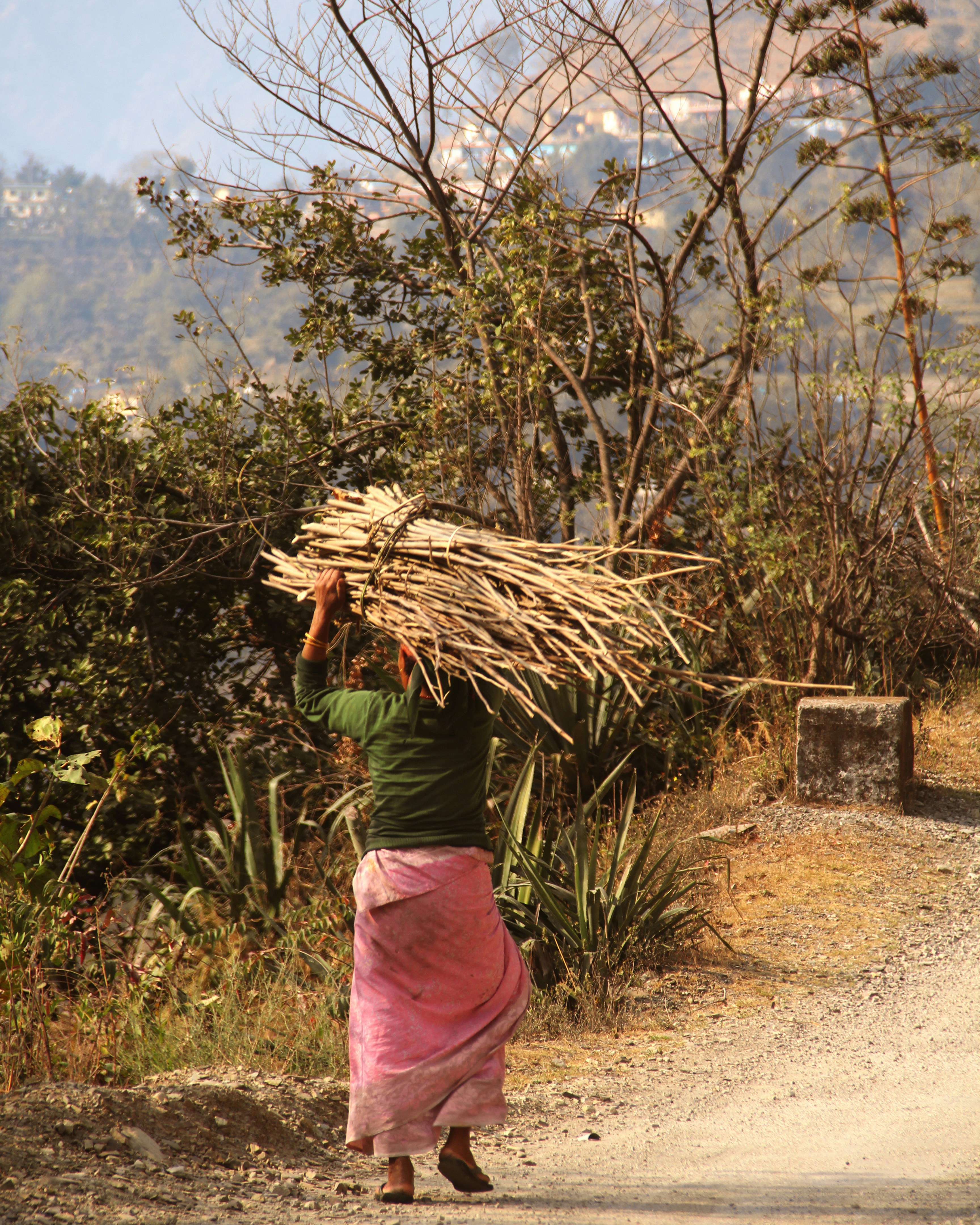 Photo by justcapturingit