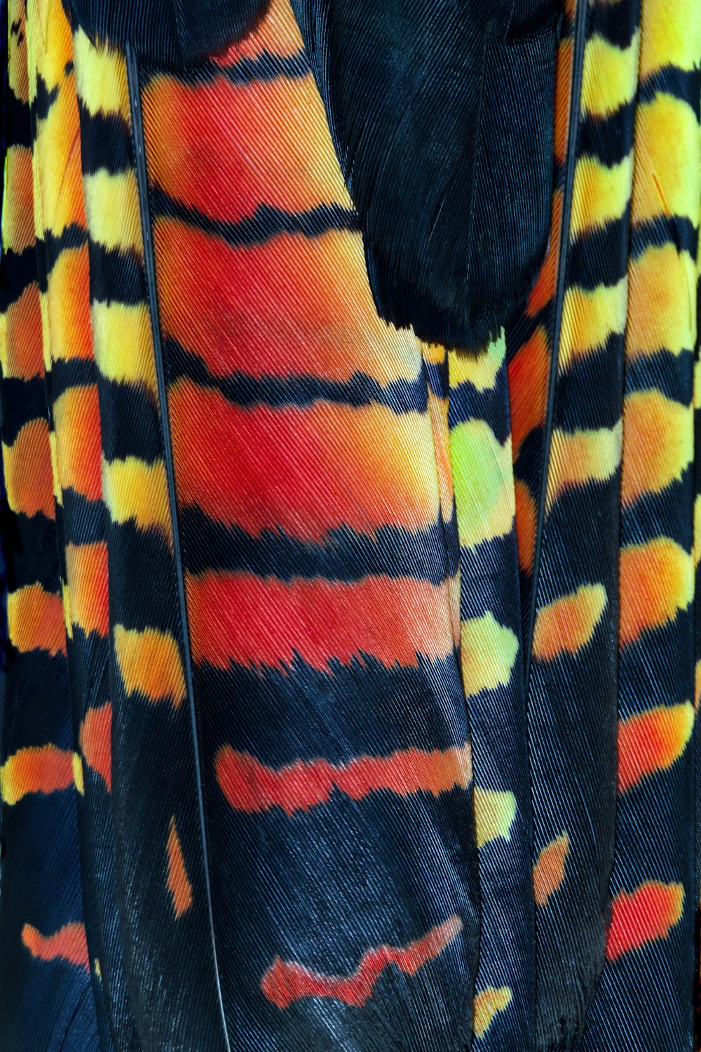 a close up of an elephant's colorful coat