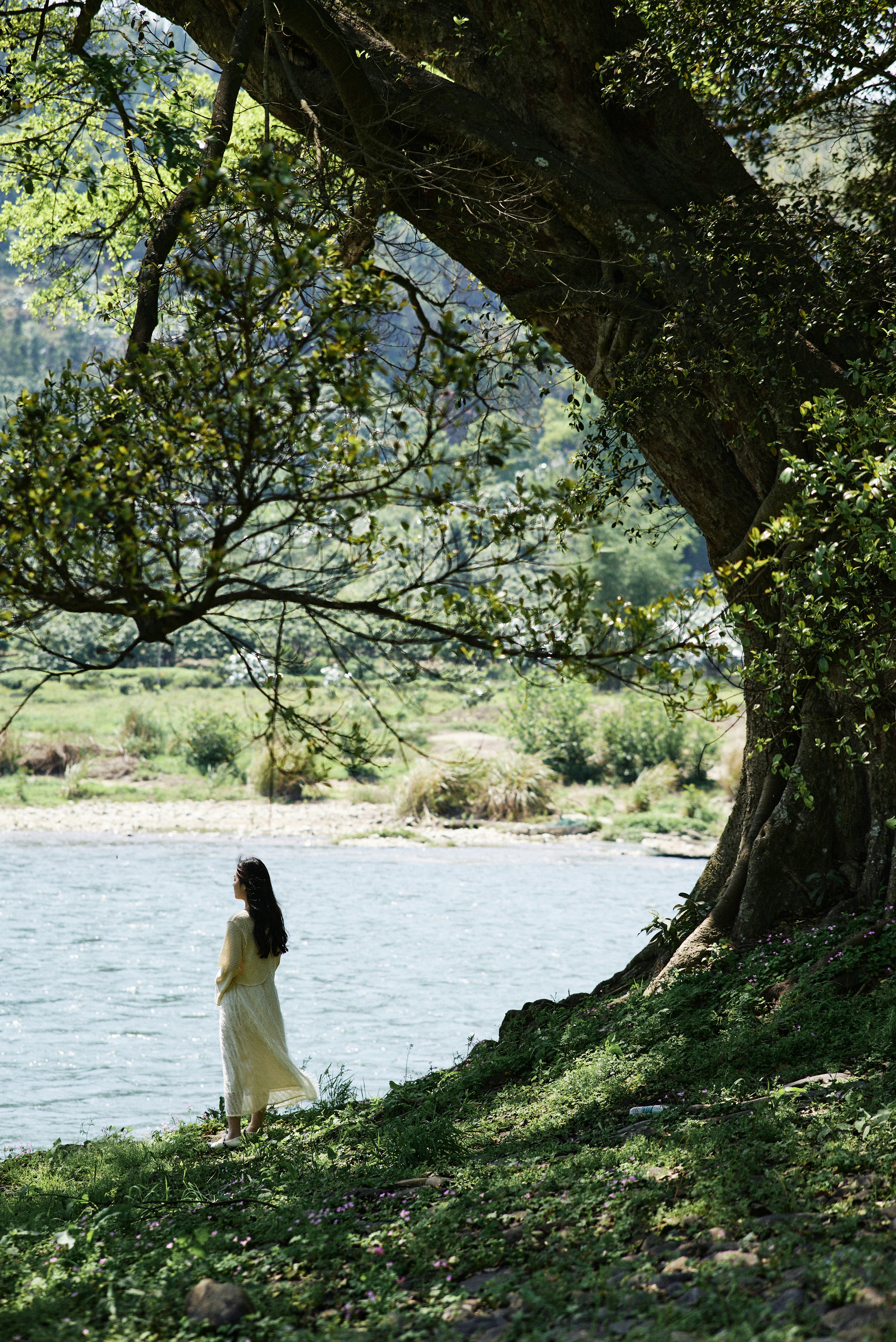 Sustainable Comfort Collection