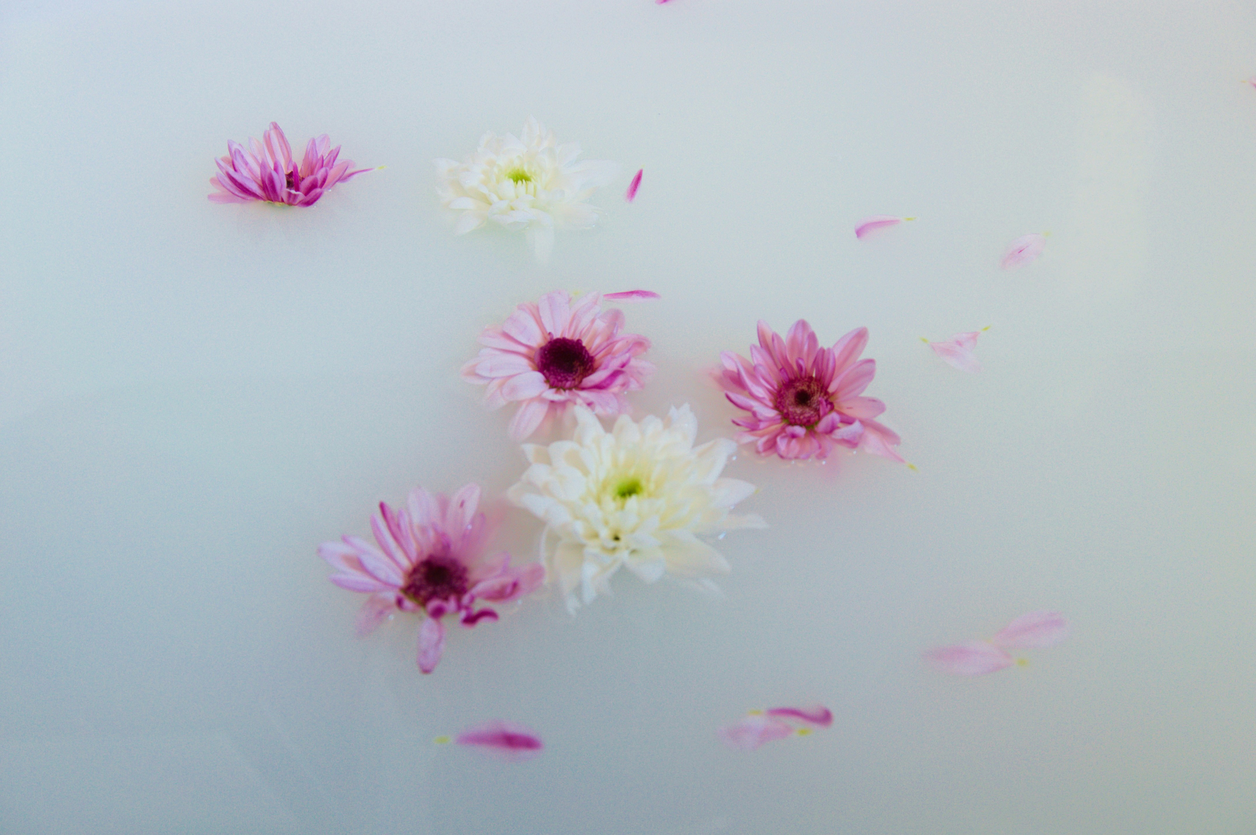 Photo by weronisiak28