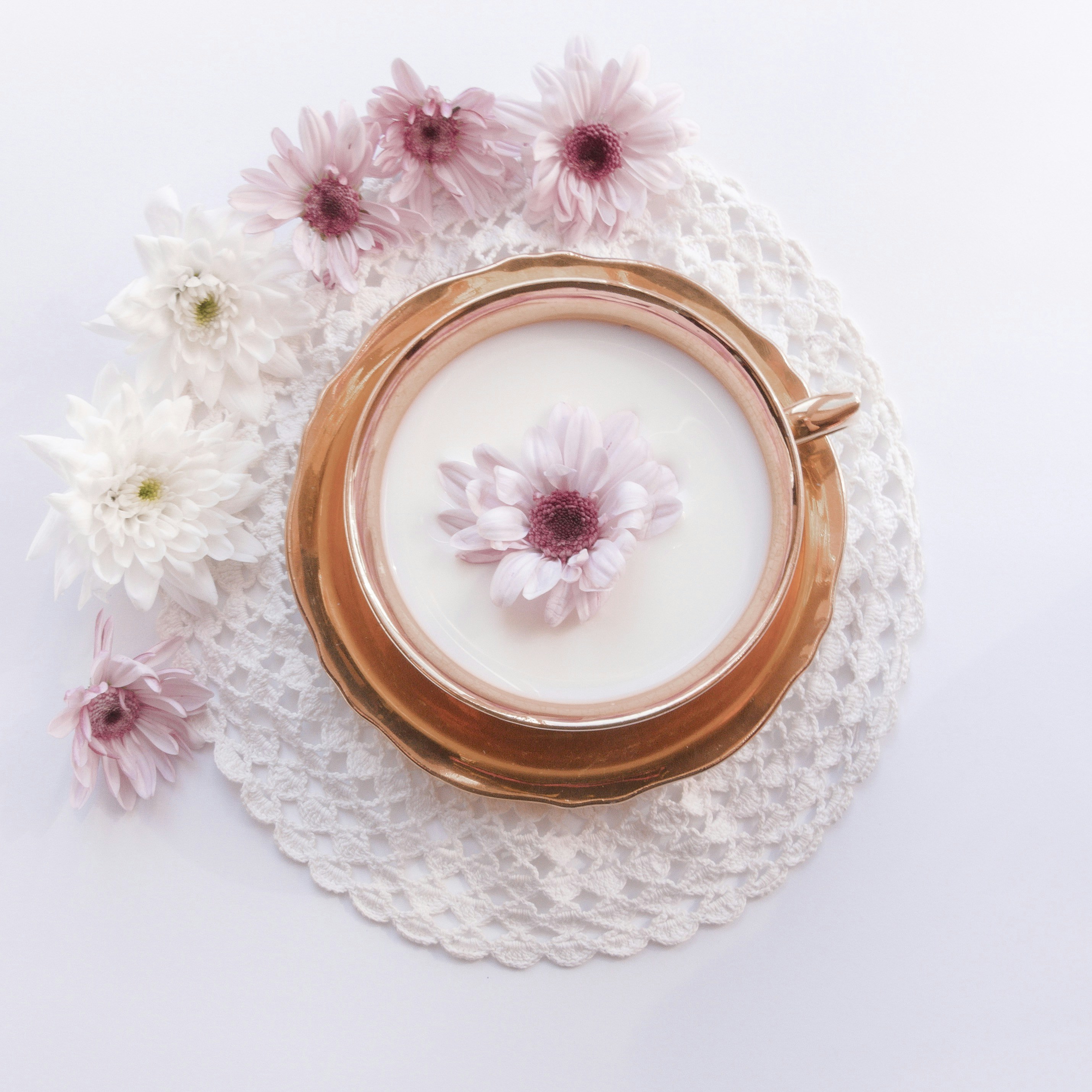 Photo by weronisiak28