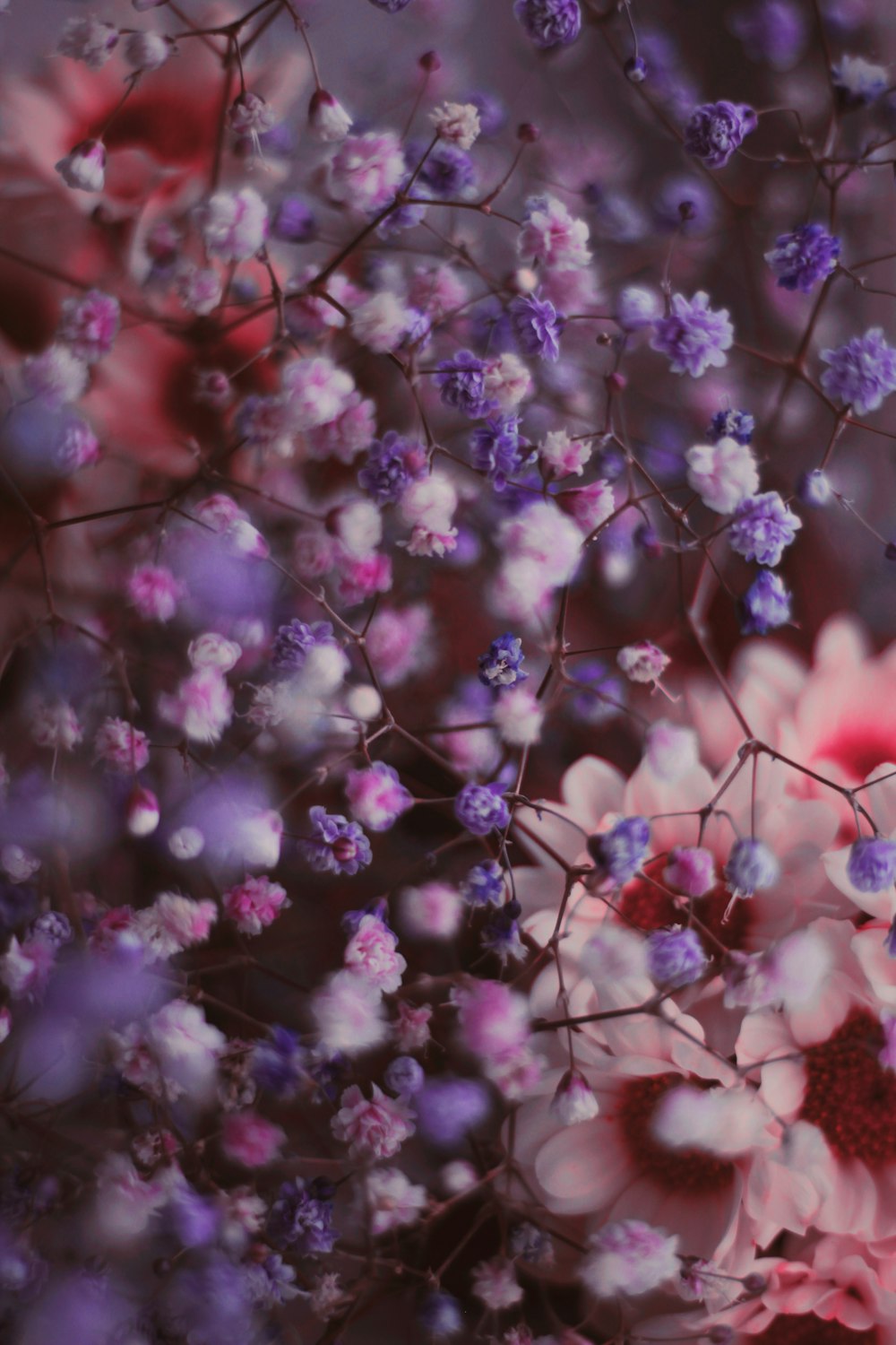 a bunch of flowers that are in a vase