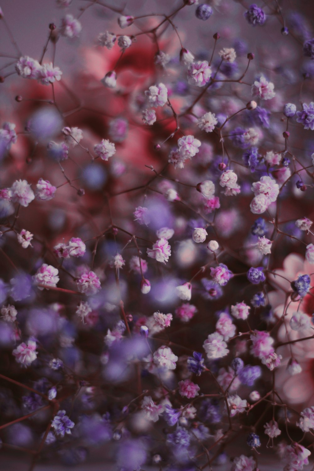 a bunch of flowers that are in a vase