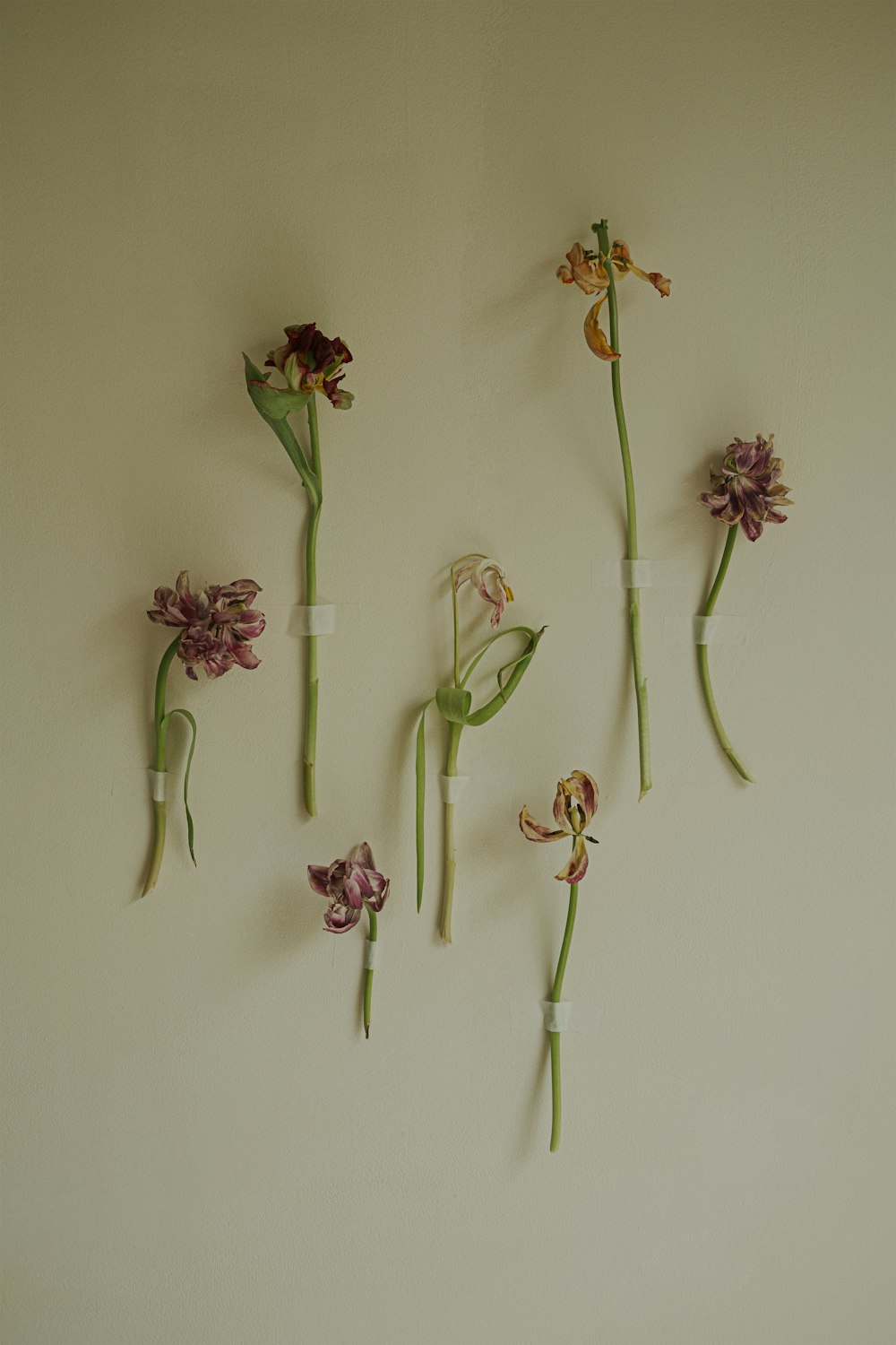 a bunch of flowers that are on a wall