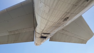 A close-up view of the underside of an airplane's wing and fuselage, showing detailed paneling and rivets. The image captures an expansive portion of the wing extending outward with a clear blue sky in the background.