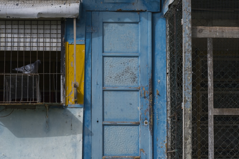 a bird sitting in a cage on top of a building