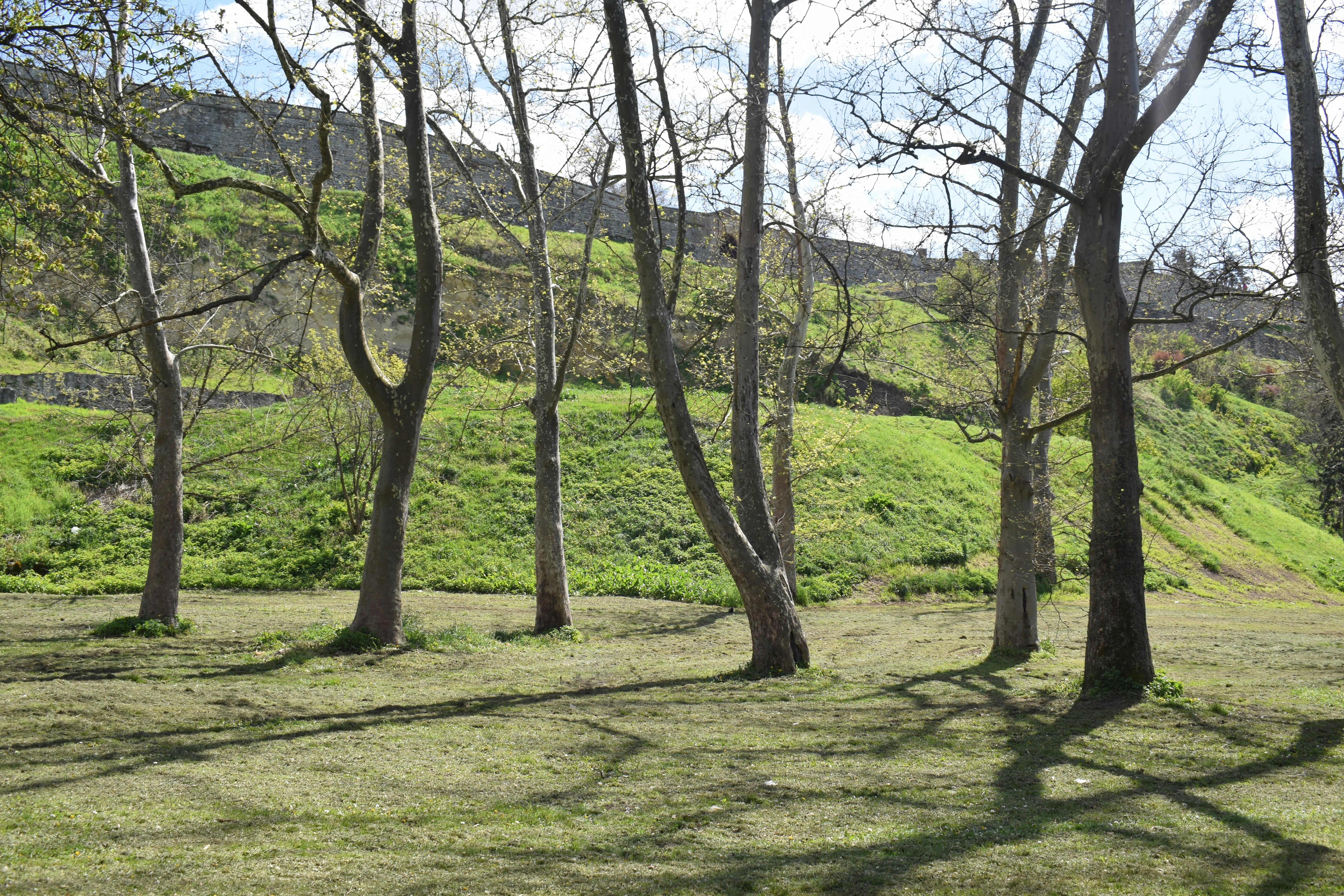 Hillside Park