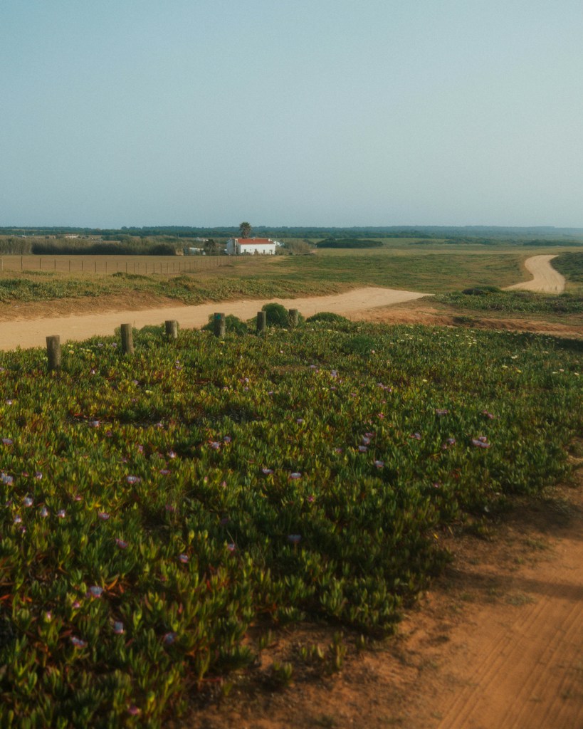 La leçon des chemins
