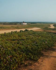 La leçon des chemins