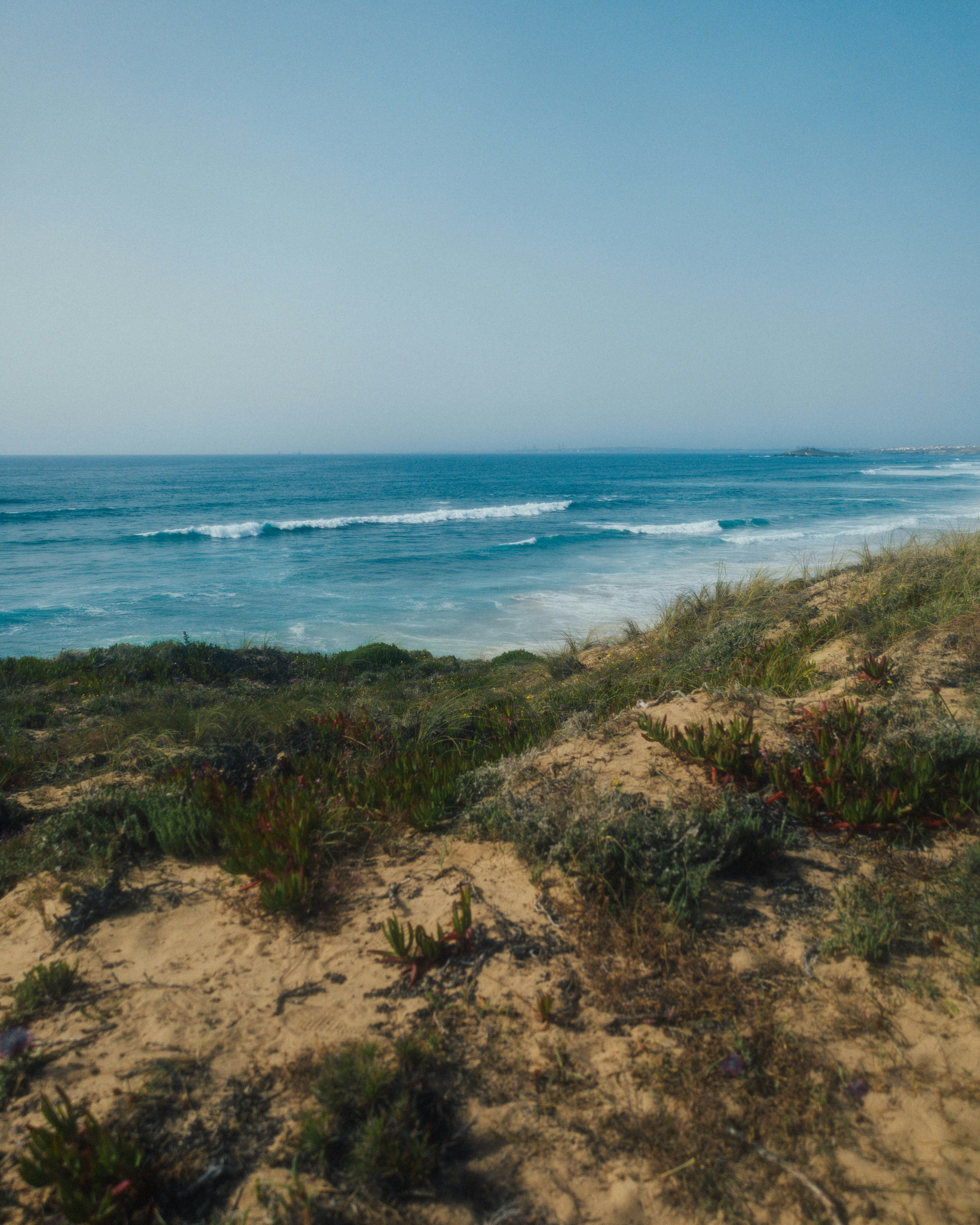 Photo by marianacbras