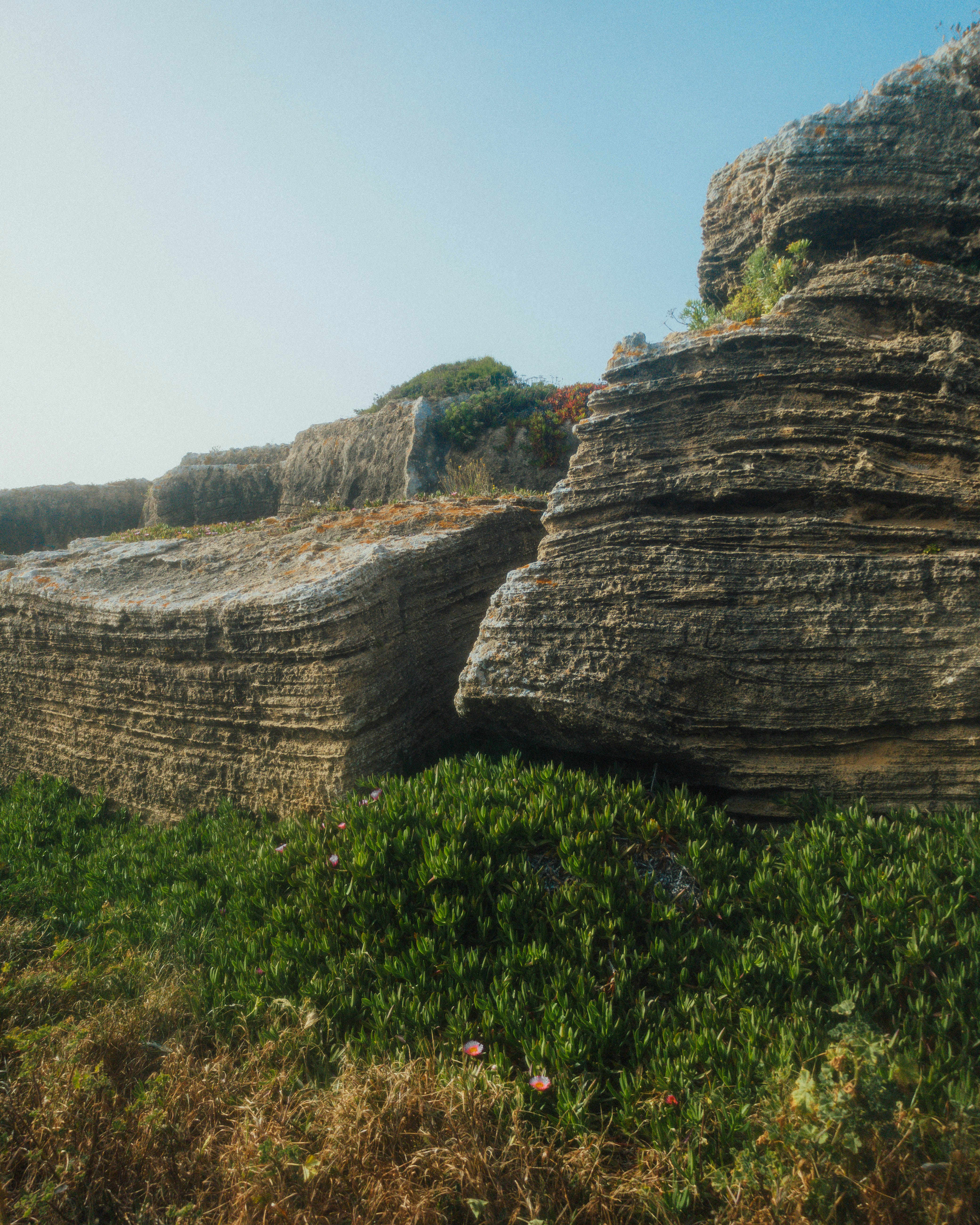 Photo by marianacbras