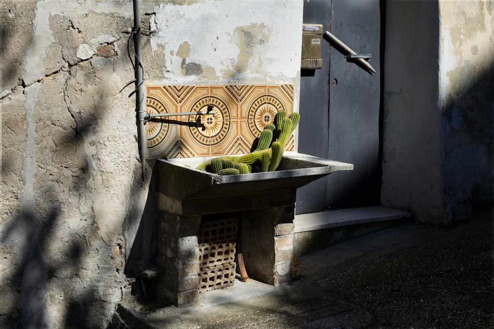 a sink filled with lots of green fruit