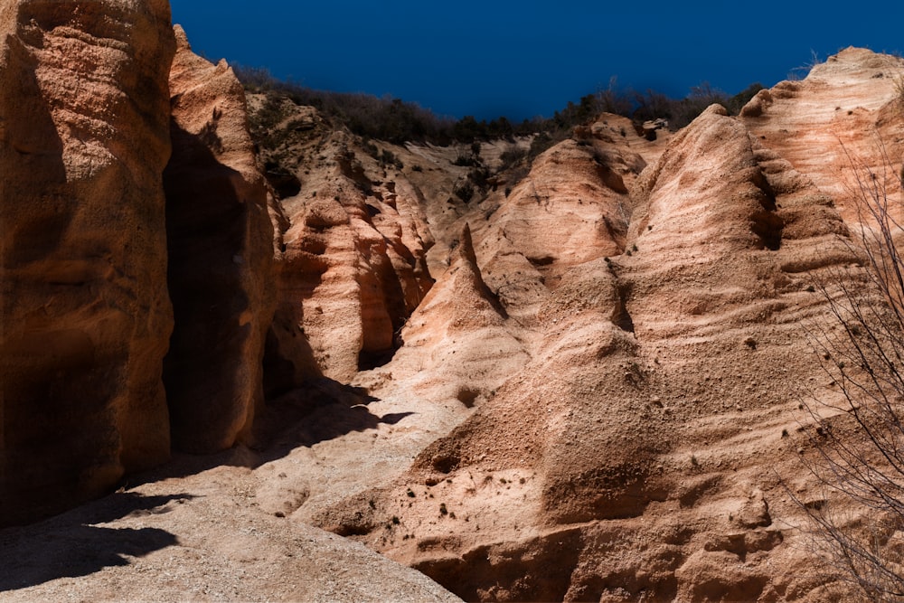 a person standing on a rock in a canyon