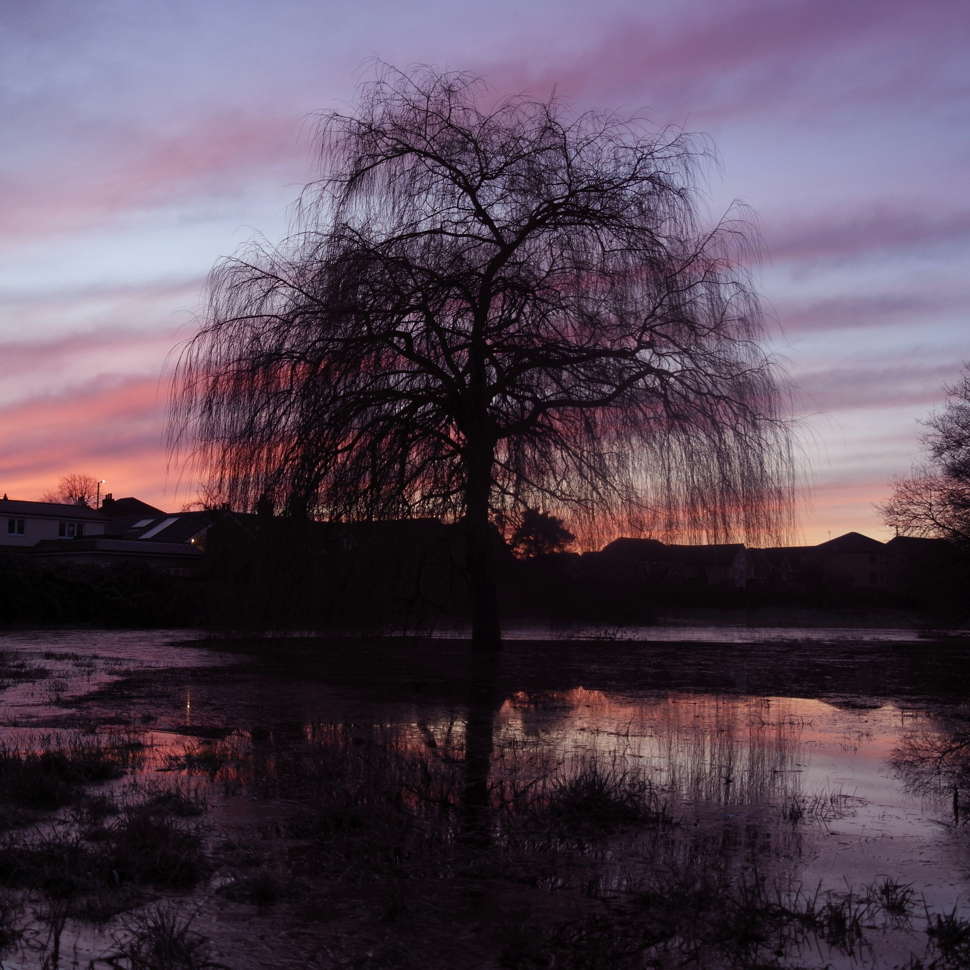 Image 87