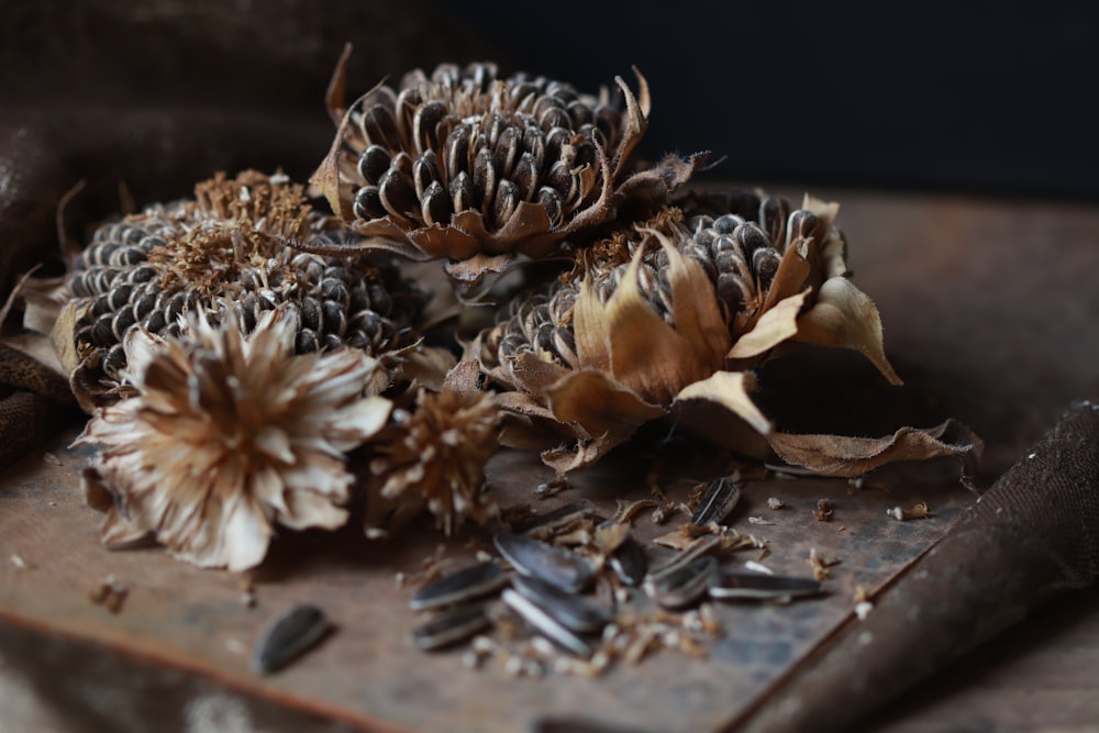 a bunch of pine cones sitting on top of a wooden table