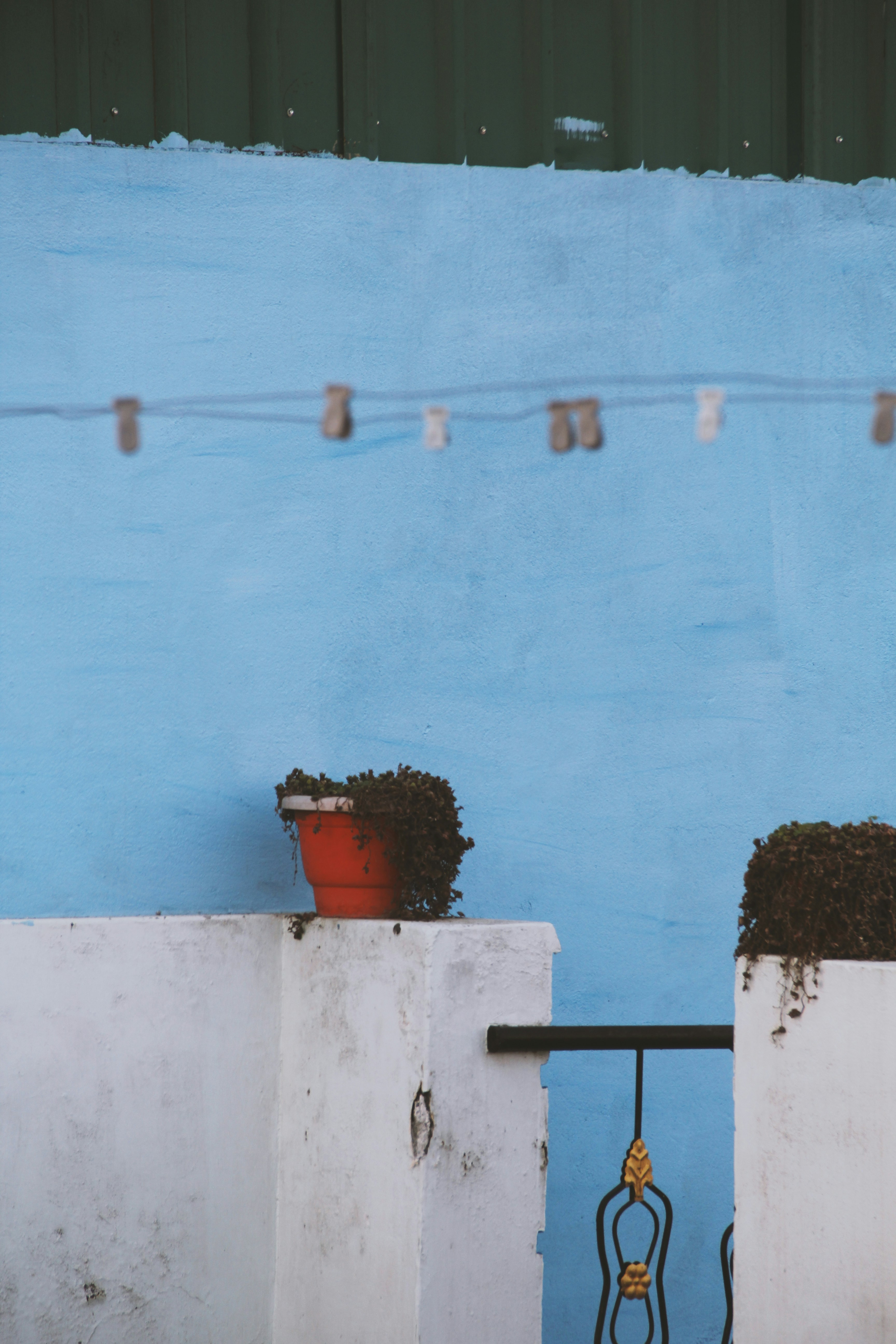 Photo by justcapturingit