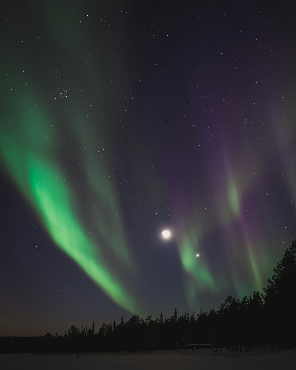 a night sky filled with green and purple lights