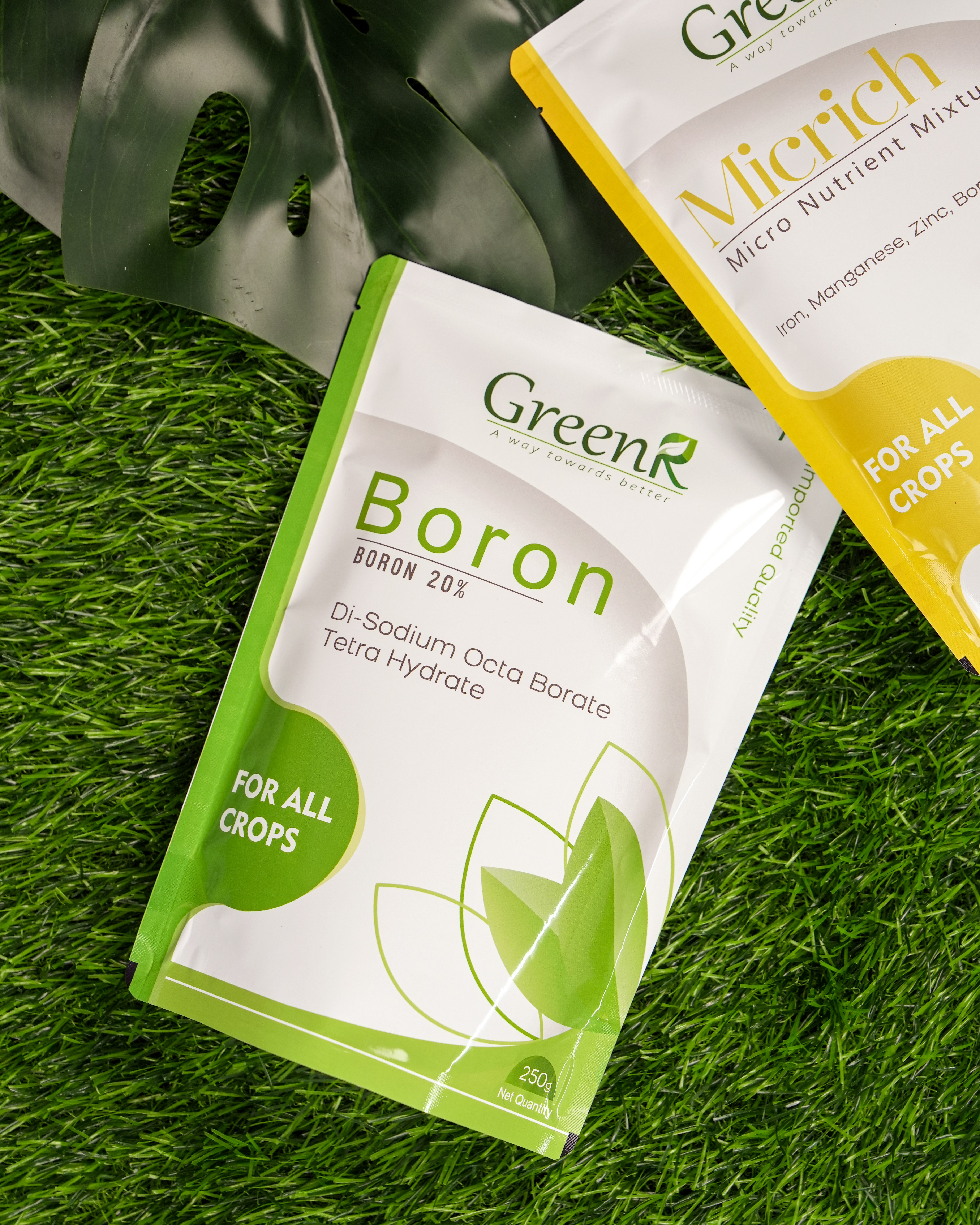 a couple of packets of green tea on some grass