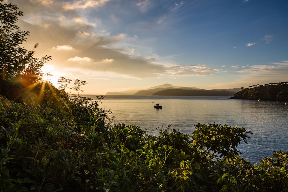 a boat in a body of water surrounded by trees