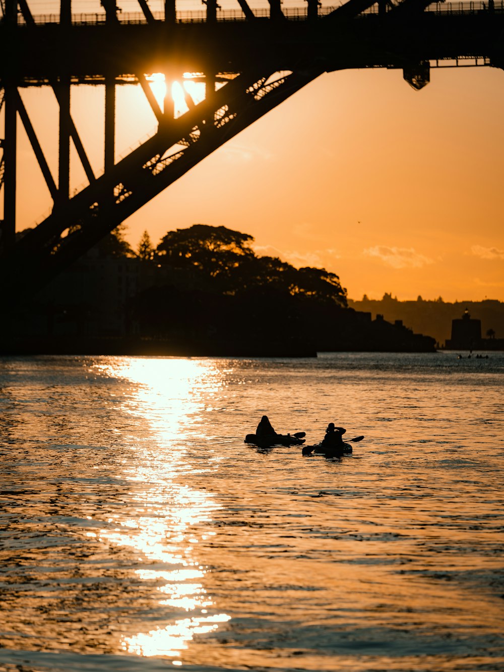 a group of people in a body of water under a bridge