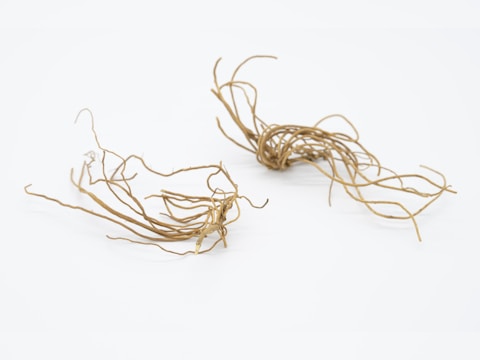 A minimalist arrangement featuring two tangled clusters of thin, dried roots or twigs. The objects are set against a plain white background, giving a sense of clarity and focus to the intricate, overlapping lines of the roots.