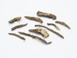 Close-up of hands preparing natural remedies using roots and herbs.