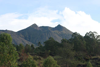a view of a mountain range with trees in the foreground