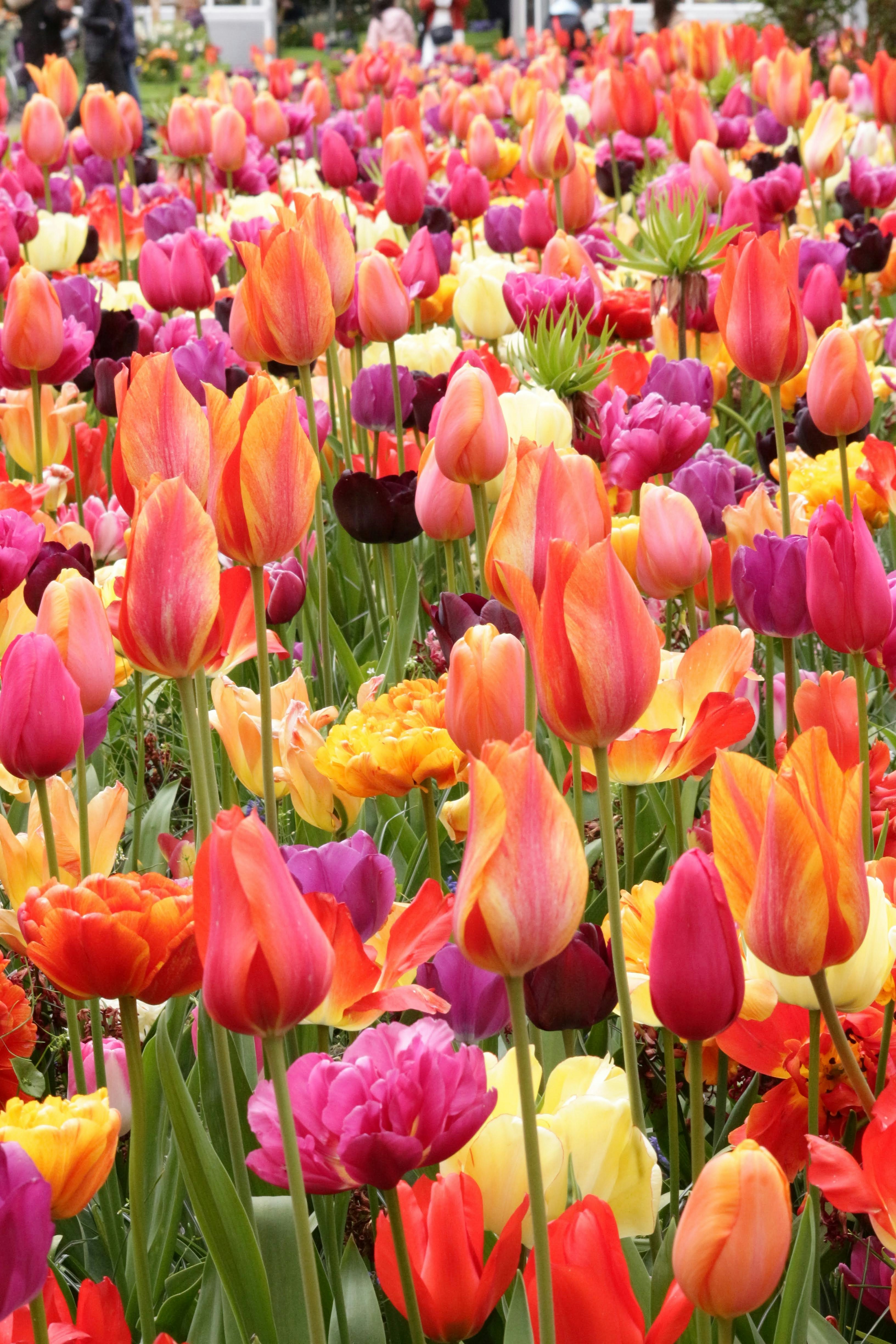 Photo by vanelkphotography