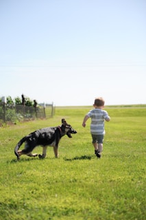 An eco-friendly lawn maintained with pet-safe practices benefits the environment.