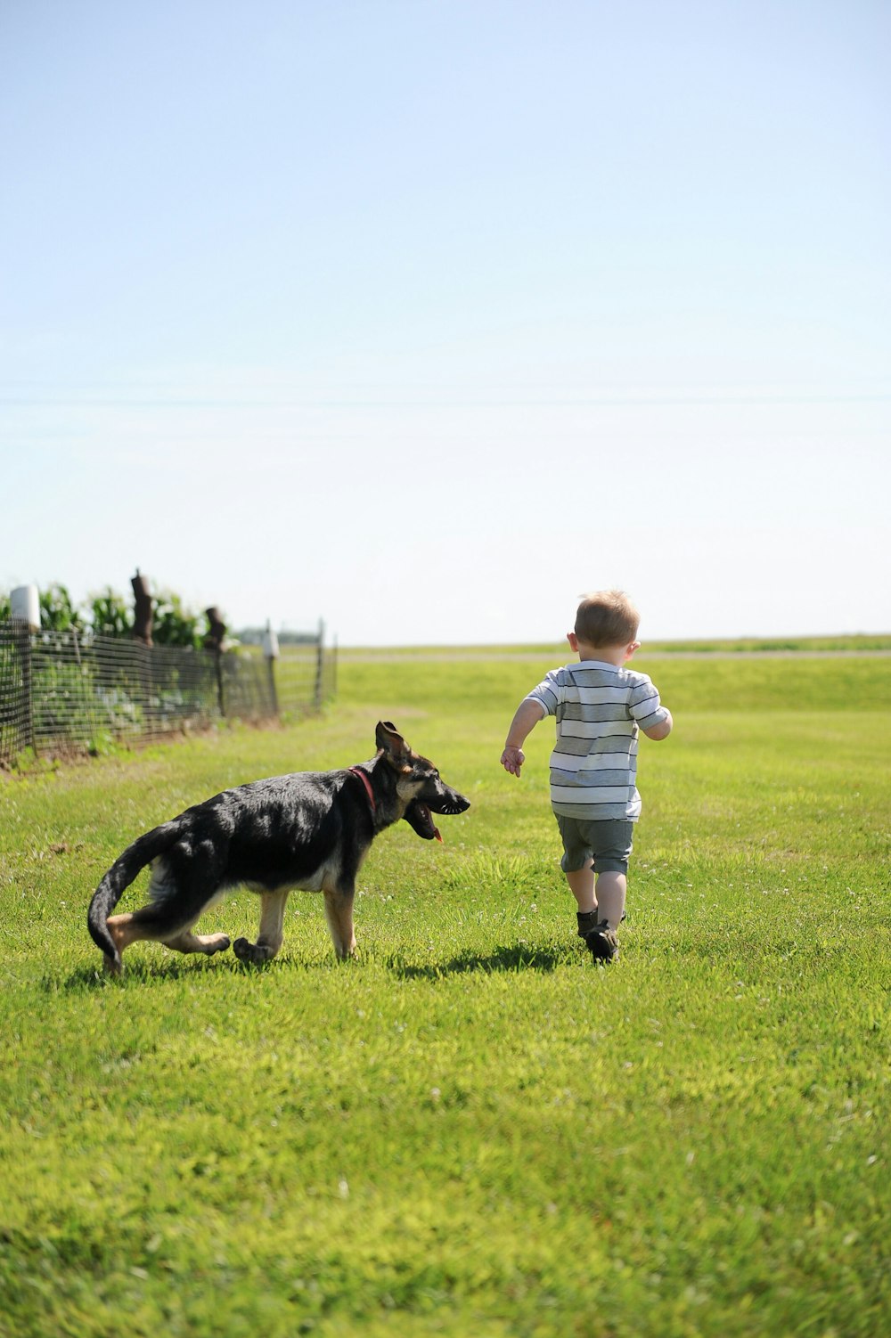a little boy that is standing in the grass with a dog