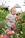 A joyful child wearing colorful, stylish clothes from éclat jardin playing in a sunny garden.