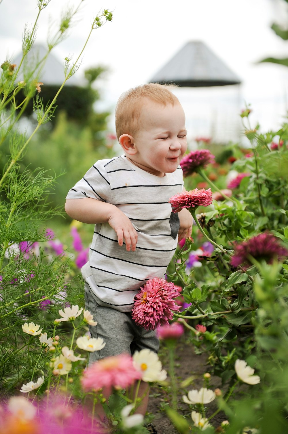 ein kleiner Junge steht in einem Blumenfeld