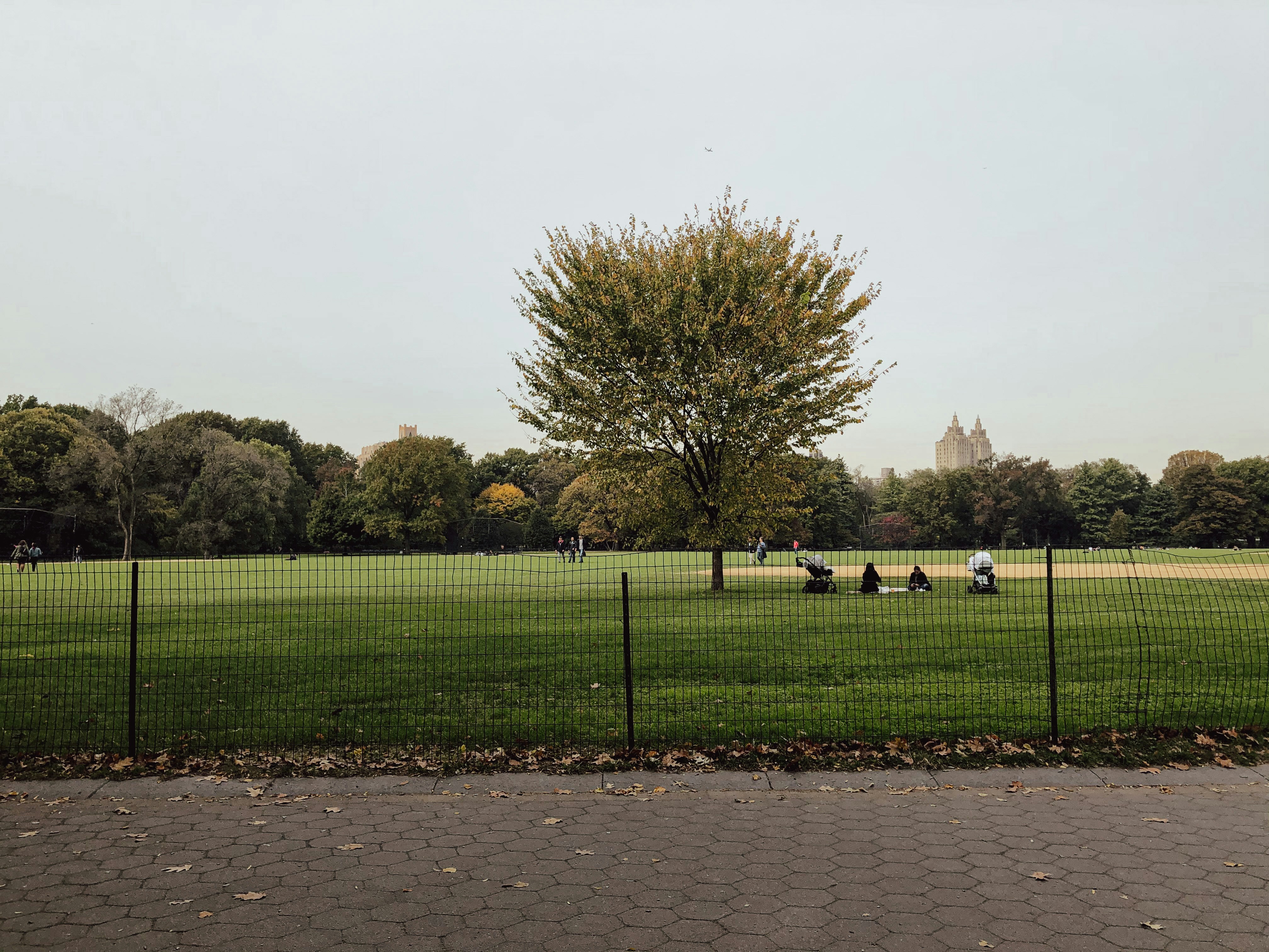 a group of people sitting on top of a lush green field