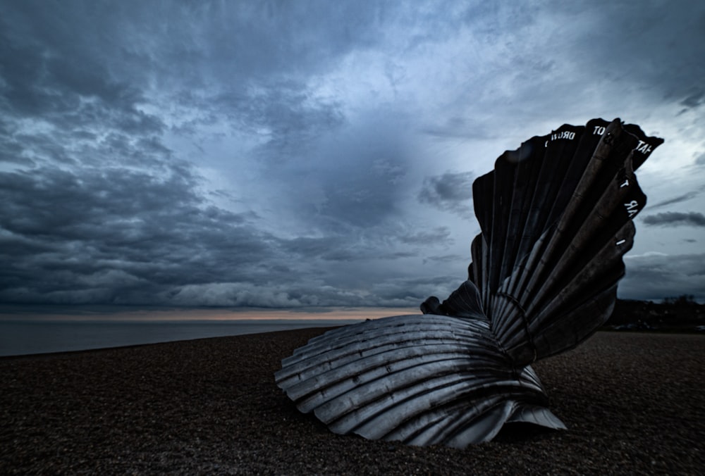 a large shell sitting on top of a sandy beach