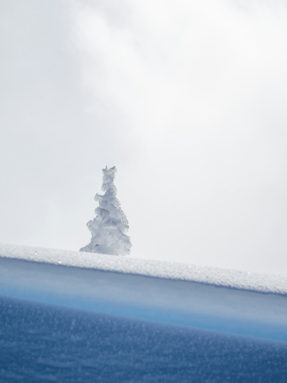 a snow covered tree on top of a snow covered hill