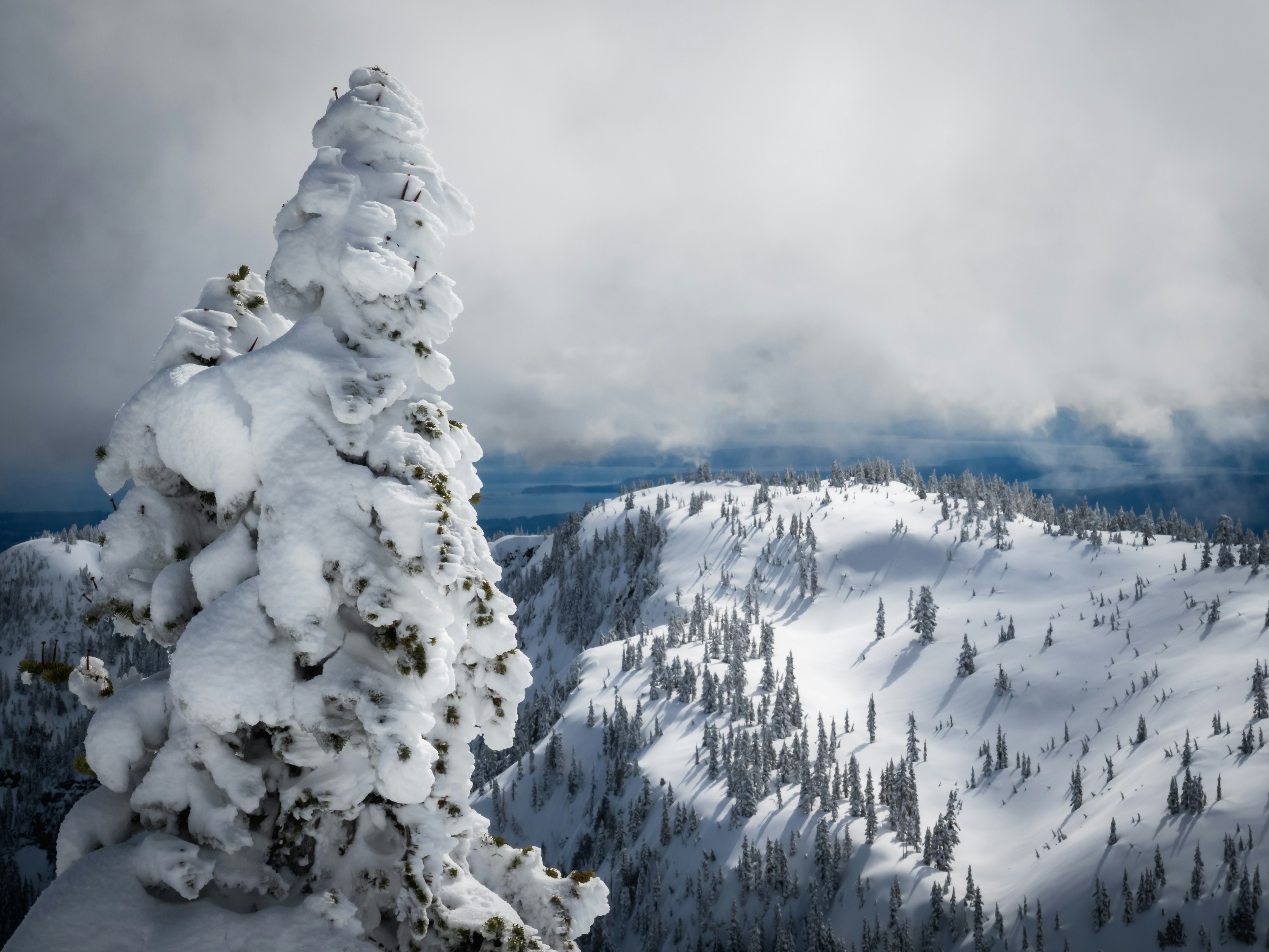 Photo by greg_rosenke